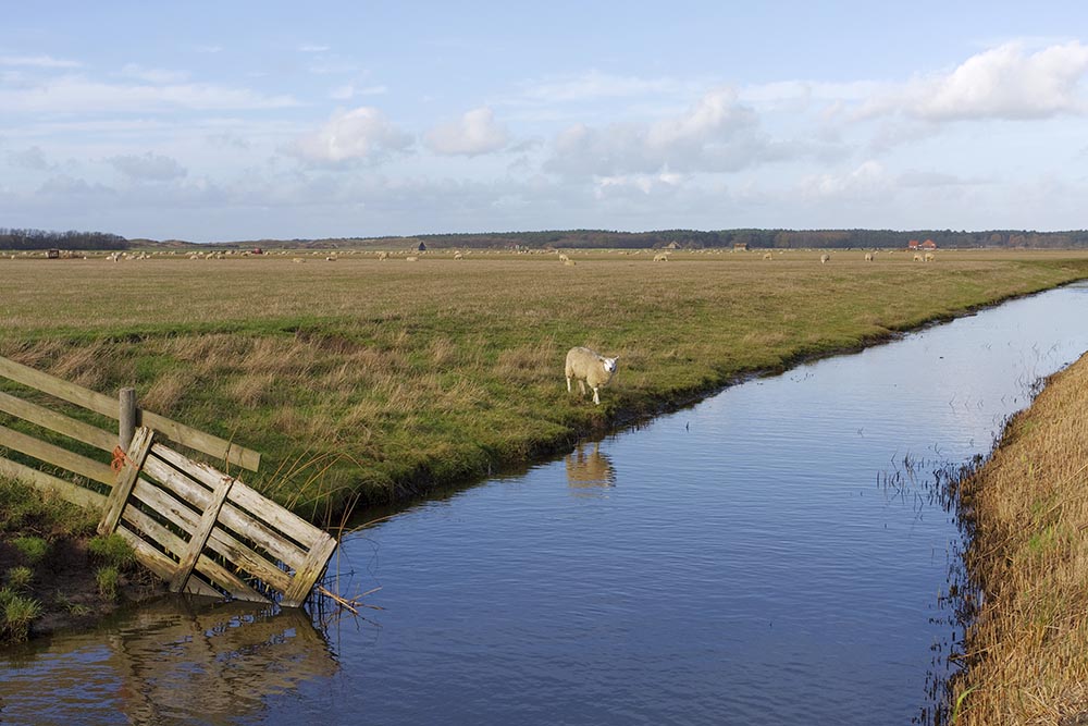 Vakantiehuis Zeepaardje Texel Kanalen